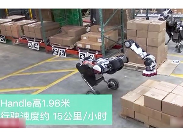 賣了十幾年貨架，天金岡從這幾點教您預防貨架倒塌！